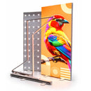 LED Lightbox Banner SEG – Enkelzijdig – Opvouwbaar - Incl. Print