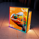 LED Beursbalie - Incl. Print en Inlegblad